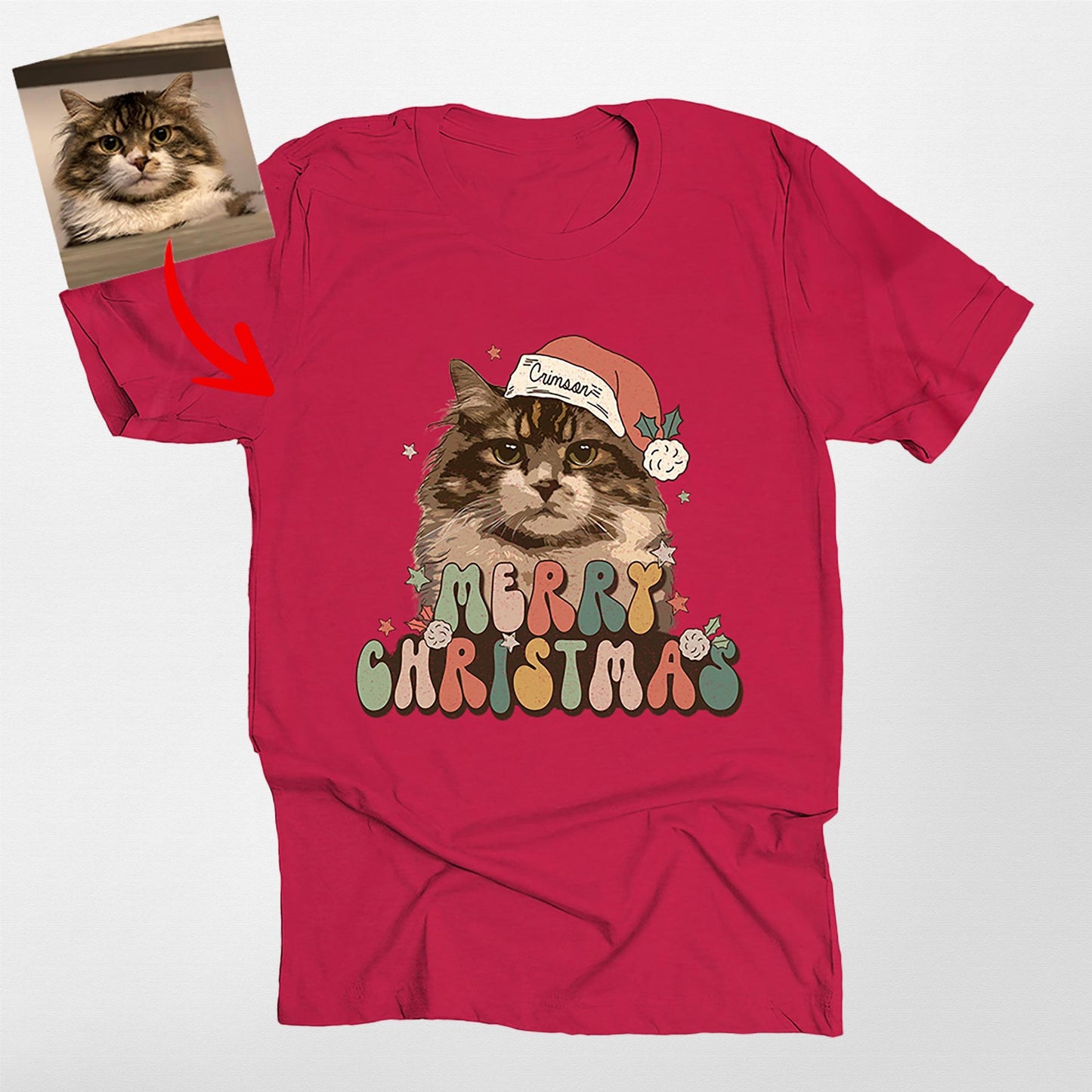 Santa Pet Classic T-Shirt